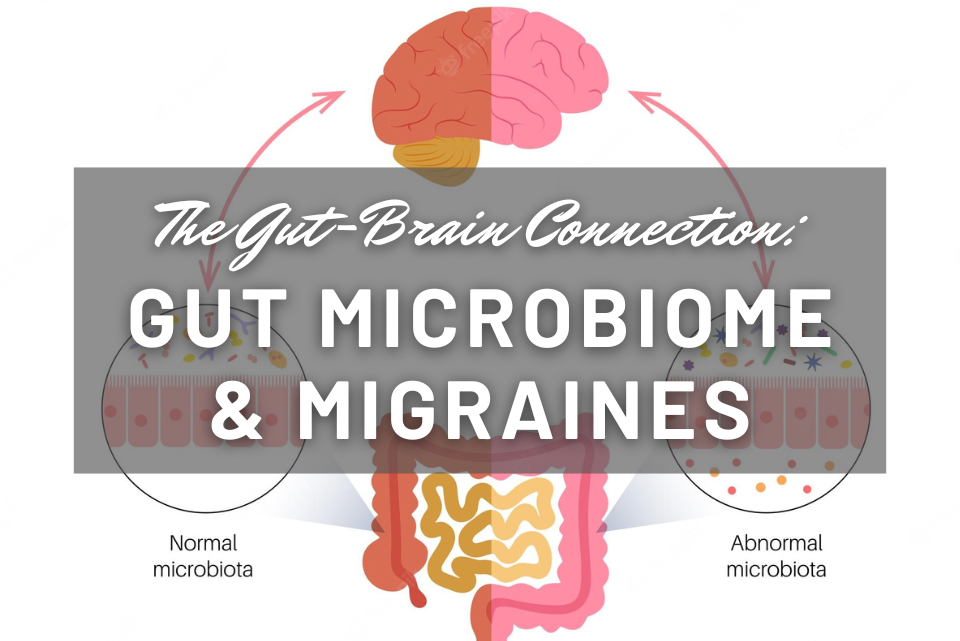 gut microbiome and migraines 